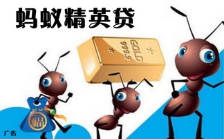 陜西興海普惠信息咨詢服務有限旬陽分公司 專業信息咨詢服務的領航者